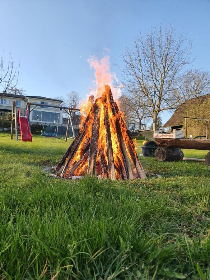 Ferienhof Leopold In Der Grub Ort im Innkreis Exterior photo
