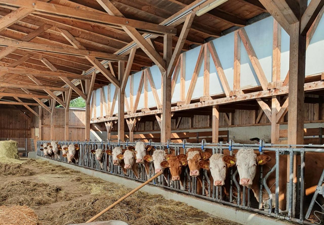 Ferienhof Leopold In Der Grub Ort im Innkreis Exterior photo